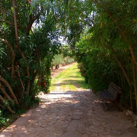 Green Beach *